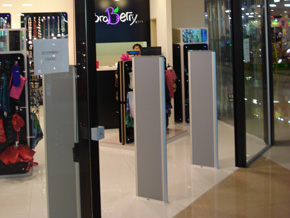 braberry_bg2.jpg braberry_bg2.jpg